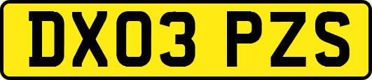 DX03PZS