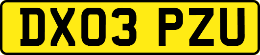DX03PZU