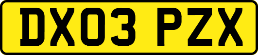 DX03PZX