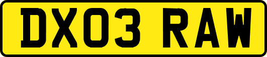 DX03RAW