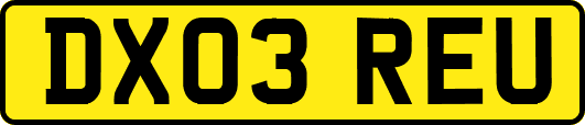 DX03REU