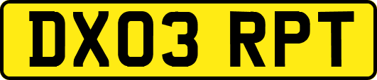 DX03RPT