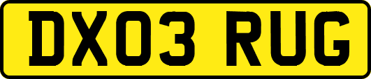 DX03RUG