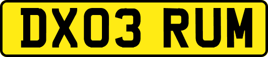 DX03RUM
