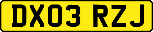 DX03RZJ