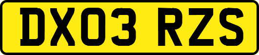 DX03RZS