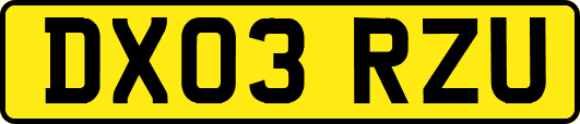 DX03RZU