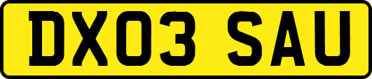 DX03SAU