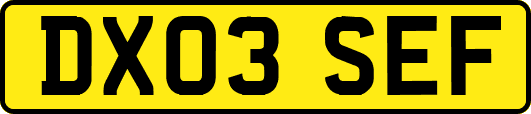 DX03SEF