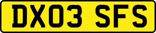 DX03SFS