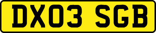 DX03SGB