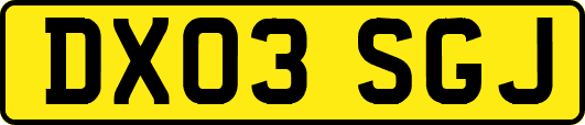 DX03SGJ