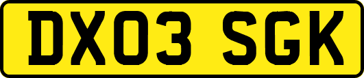 DX03SGK
