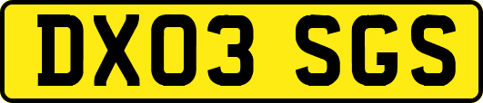 DX03SGS