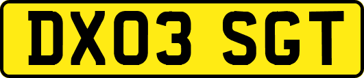 DX03SGT