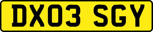 DX03SGY