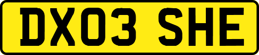 DX03SHE