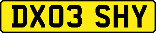 DX03SHY