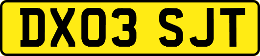 DX03SJT