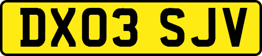 DX03SJV