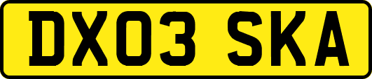 DX03SKA