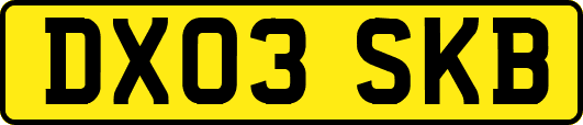 DX03SKB