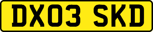 DX03SKD