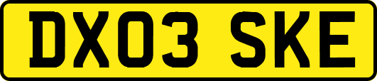 DX03SKE