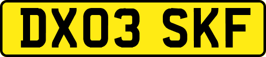 DX03SKF