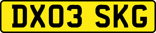 DX03SKG