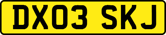 DX03SKJ