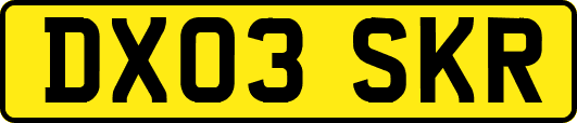 DX03SKR