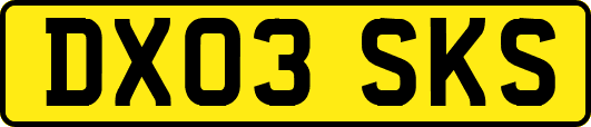 DX03SKS