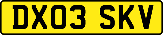 DX03SKV