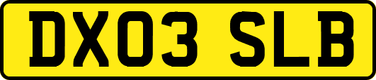 DX03SLB
