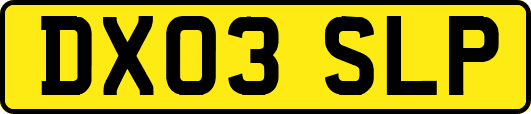 DX03SLP