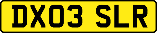 DX03SLR