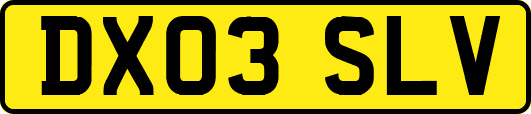 DX03SLV