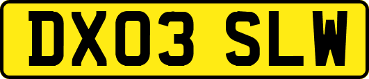 DX03SLW