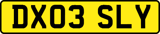 DX03SLY