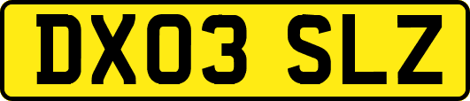 DX03SLZ