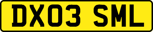 DX03SML