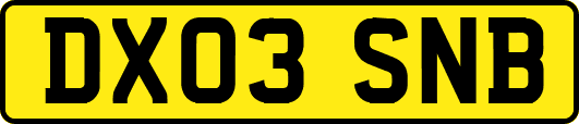 DX03SNB