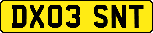 DX03SNT