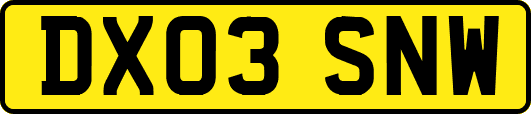 DX03SNW