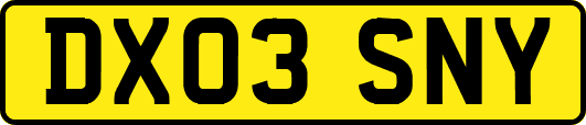 DX03SNY