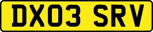 DX03SRV