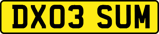 DX03SUM