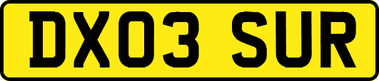 DX03SUR
