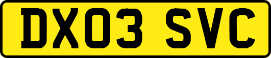 DX03SVC